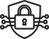 Robust Data Security Icon
